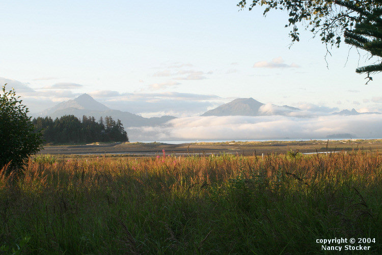Wetlands near Homer, Alaska