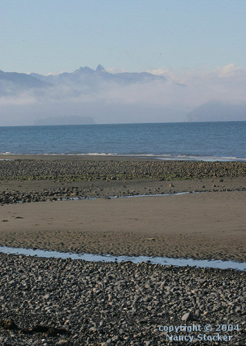 Public Beach near Homer, Alaska