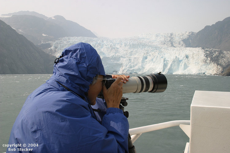 Nancy Photographing Gulls at Holgate Glacier, Kenai Fjords National Park