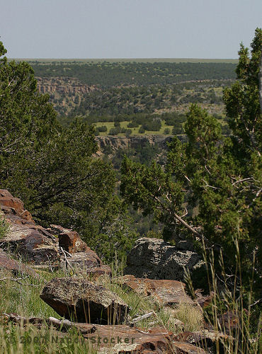 View of Cherry Canyon