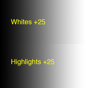 CompareWhitesHighlights+25