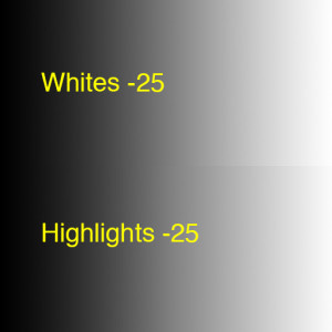 CompareWhitesHighlights-25
