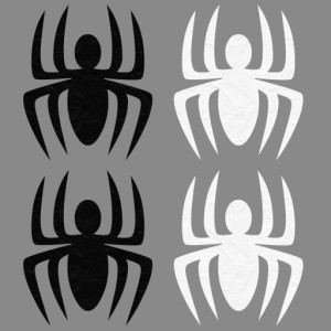 PaperSpiders