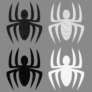 PaperSpidersCurves